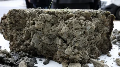 Government to allow for side-by-side building as amended defective blocks bill goes to Cabinet