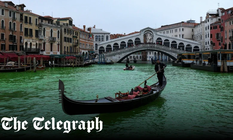 Greta Thunberg banned from Venice after dyeing canal green