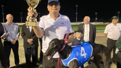 Greyhound racing news from around the NSW regions | November 21