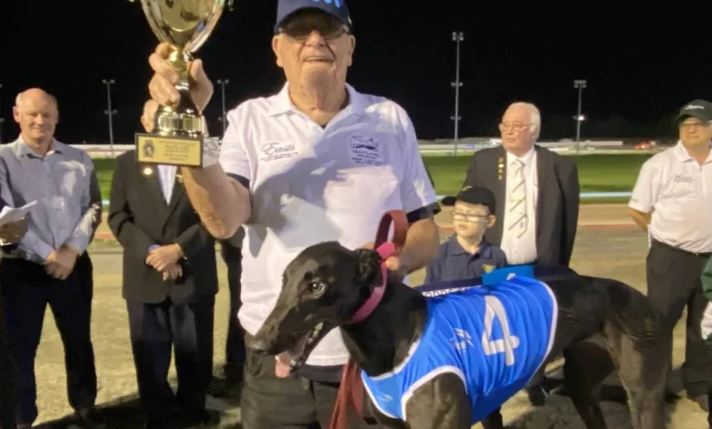Greyhound racing news from around the NSW regions | November 21