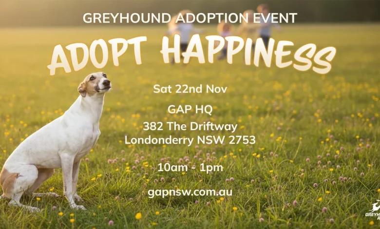 Greyhounds as pets Adoption Event
