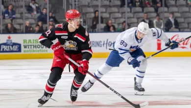 Griffins Begin Homestand Against Marlies and Returning NHL Star