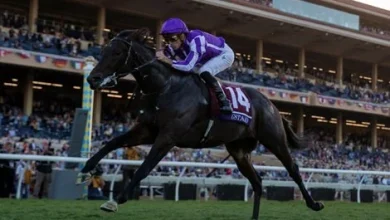 Gstaad Takes Juvenile Turf for Record-Setting O'Brien