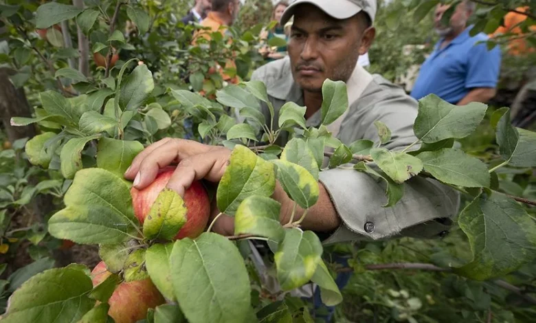 H-2A processing to resume during shutdown