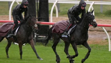 Half Yours favourite at Australia's 'race that stops a nation'