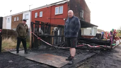 Halloween charity display torched and 'totally gone' as owner left in tears
