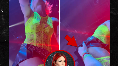 Halsey Fan Brazenly Grabs Her Butt Mid-Performance, Disturbing Video Shows