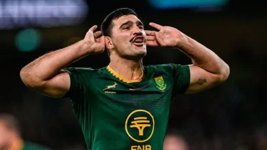 Harry Latham-Coyle: Why Wales vs South Africa is a foolish fixture that suits no-one