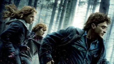 Harry Potter: 15 Years Later, a Non-Canon Scene Stands as the Best of the Series