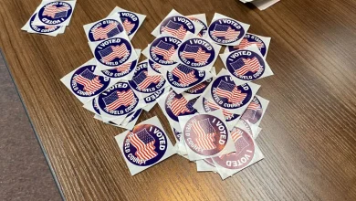 Have you voted yet? Here’s what’s on your 2025 ballot in Northern Colorado