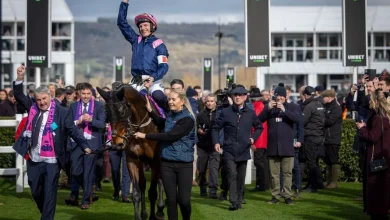'He was jumping like a stag, gaining lengths at every fence' - Arkle favourite on course to kick off new career at Navan