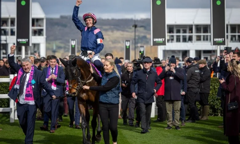 'He was jumping like a stag, gaining lengths at every fence' - Arkle favourite on course to kick off new career at Navan