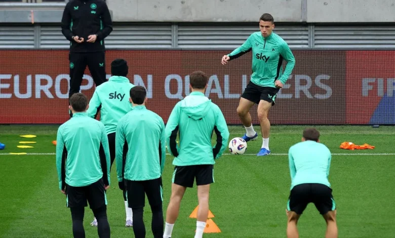 Heimir Hallgrimsson's bizarrely brilliant 'vacuums and batteries' Seamus Coleman tribute