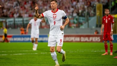 Here are the 4 teams Ireland could meet in the World Cup playoff semi-finals