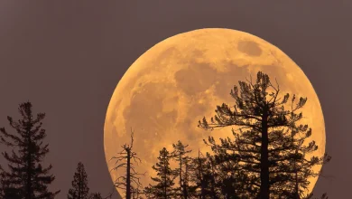 Here’s How the November Supermoon Will Affect Every Zodiac Sign