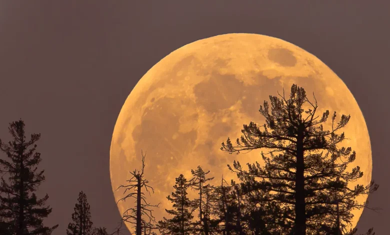 Here’s How the November Supermoon Will Affect Every Zodiac Sign