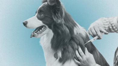 Here’s Why Fewer People Are Vaccinating Their Pets
