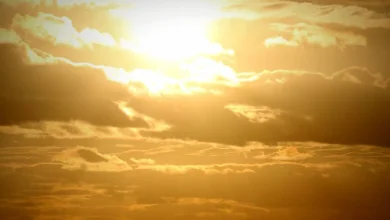 Here’s what you can expect with today’s Adelaide weather