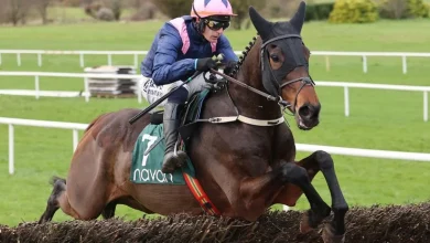 'He's a two-miler who attacks - the engine is definitely there' - Supreme scorer Kopek Des Bordes electric on chasing debut