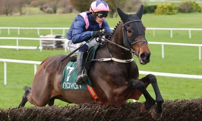 'He's a two-miler who attacks - the engine is definitely there' - Supreme scorer Kopek Des Bordes electric on chasing debut