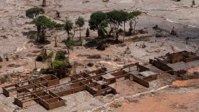High Court rules company liable for Brazil dam collapse - the country's worst environmental disaster