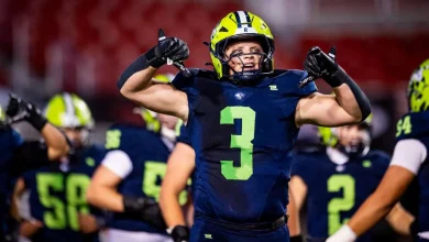 High school football: Semifinal, final playoff scores and schedule