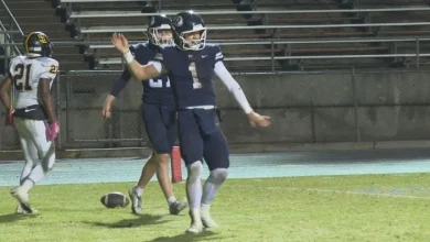 High school football playoffs recap: D1 semifinals and rest of quarterfinal matchups