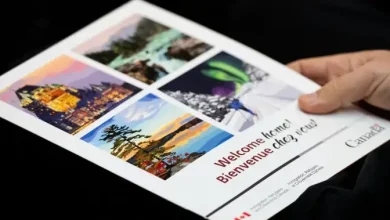 Highly skilled immigrants are twice as likely to leave Canada, report shows