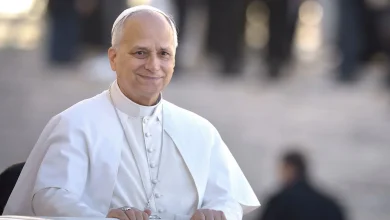 Hollywood icons meet Pope Leo - after agents were assured invites were not a hoax