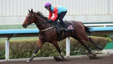 Hong Kong Stars Prepare for Internationals Day