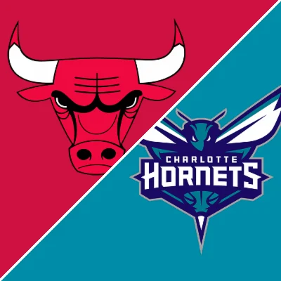Hornets 123-116 Bulls (29 Nov, 2025) Game Recap