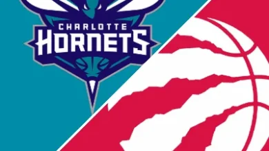 Hornets vs. Raptors (18 Nov, 2025) Game Stats