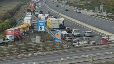 Horse on the loose brings M4 traffic to standstill as drivers warned over long delays