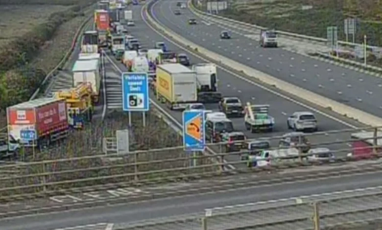 Horse on the loose brings M4 traffic to standstill as drivers warned over long delays