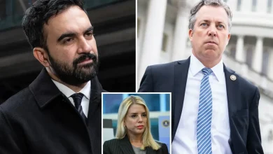 House Republicans push to 'denaturalize' Mamdani over citizenship form