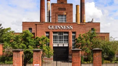 House of Guinness: Lessons on Succession Planning from a Family Drama