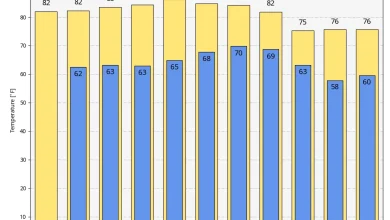 Houston says goodbye to colder air, and hello to our old friend, the 80s