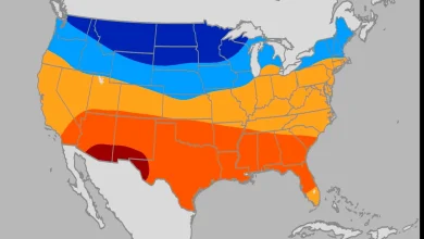 How Much Influence Will La Niña Have On Meteorological Winter?
