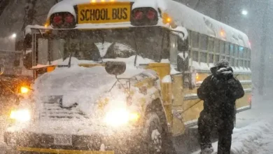 How Ontario school boards decide when to cancel school buses