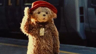 How Paddington’s producers harnessed the power of social media for the bear’s big reveal