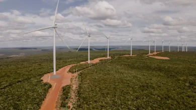 How To Boost Renewable Energy in the Developing World