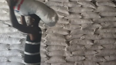 How Trump-era funding cuts endanger efforts to empower Haiti’s farmers