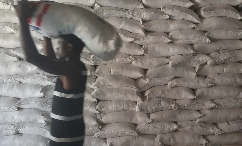 How Trump-era funding cuts endanger efforts to empower Haiti’s farmers