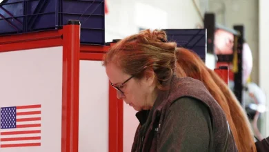 How did the shutdown affect voter turnout in Virginia?