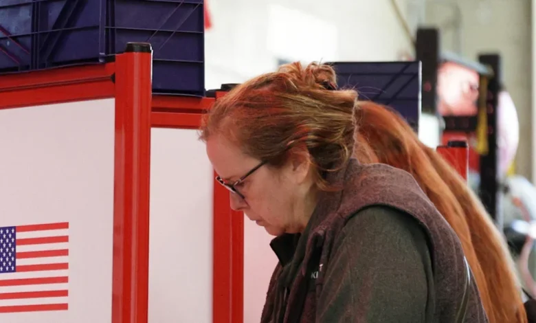 How did the shutdown affect voter turnout in Virginia?