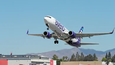 How low can airline fares go? Controversial carrier Avelo offers $34 flights to Florida
