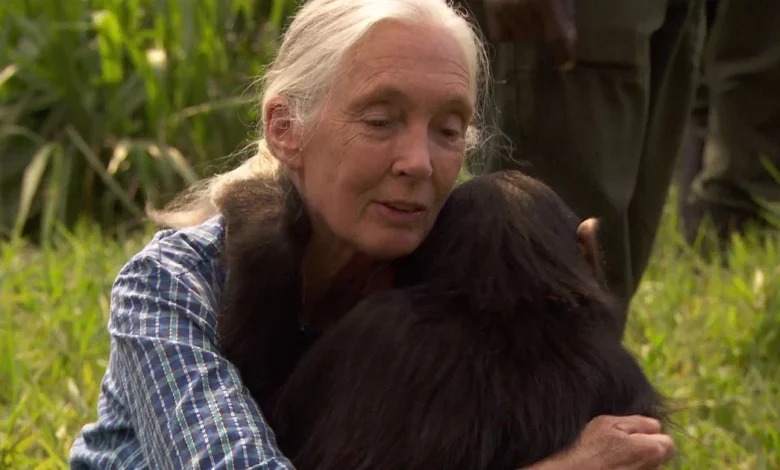 How motherhood changed Jane Goodall | 60 Minutes Archive