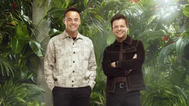 How much do the I'm a Celebrity stars get paid?