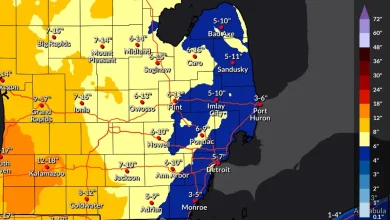 How much snow will Michigan get? Winter storm snowfall predictions