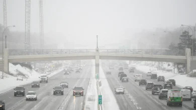 How much will it snow in Minnesota this week? Here's a look at potential totals.